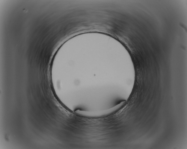 X0000097651516200803280917