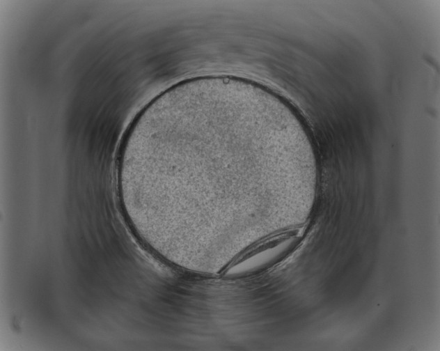 X0000097651517200803280917