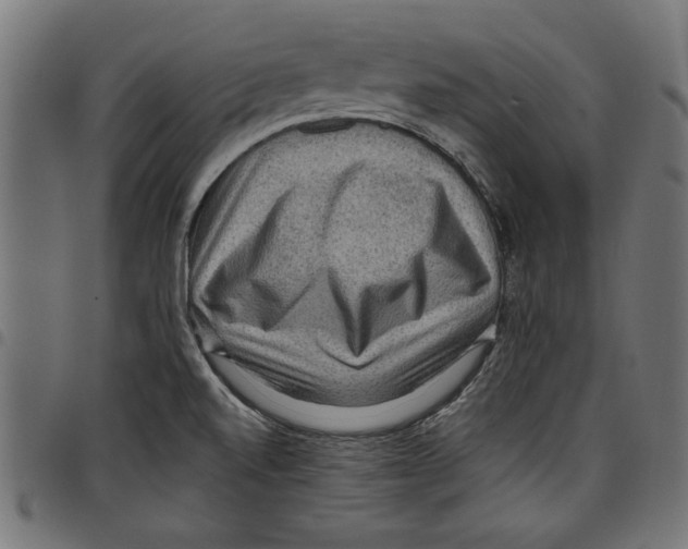 X0000097651520200803280917