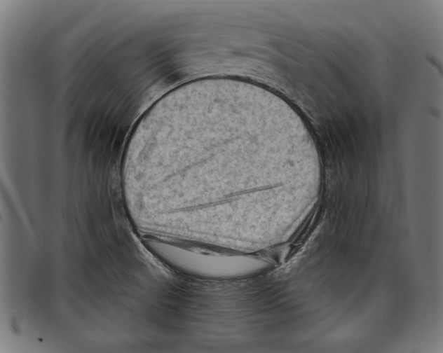 X0000097651521200803280918