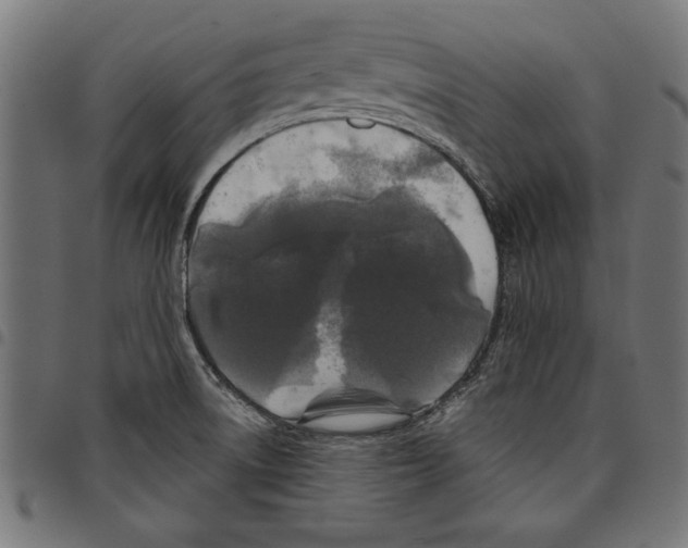 X0000097651522200803280918