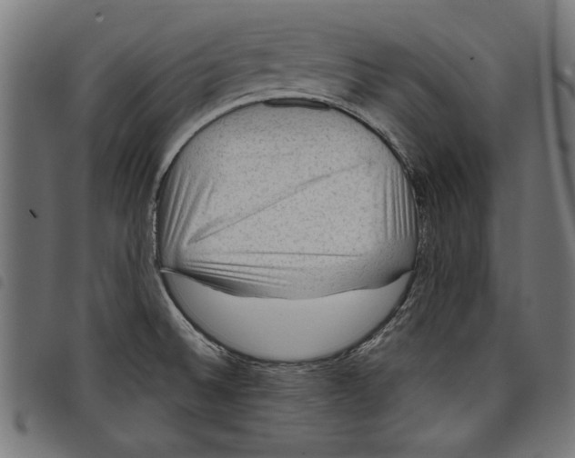 X0000097651524200803280918