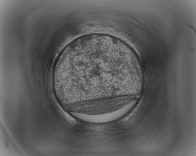 X0000097651525200803280918