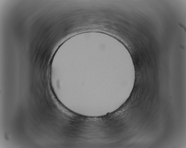 X0000097651526200803280918