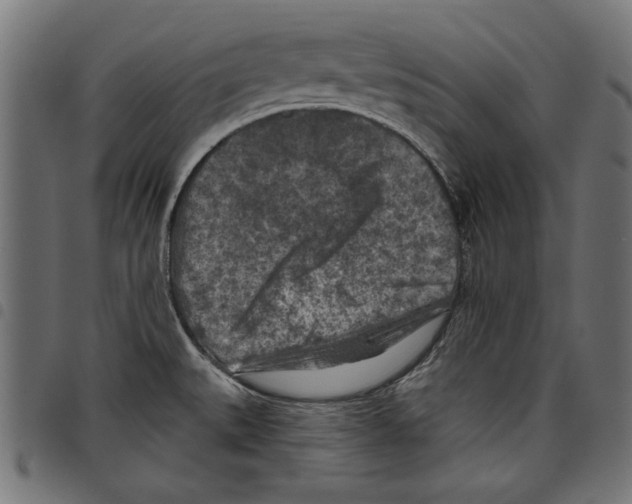 X0000097651527200803280918