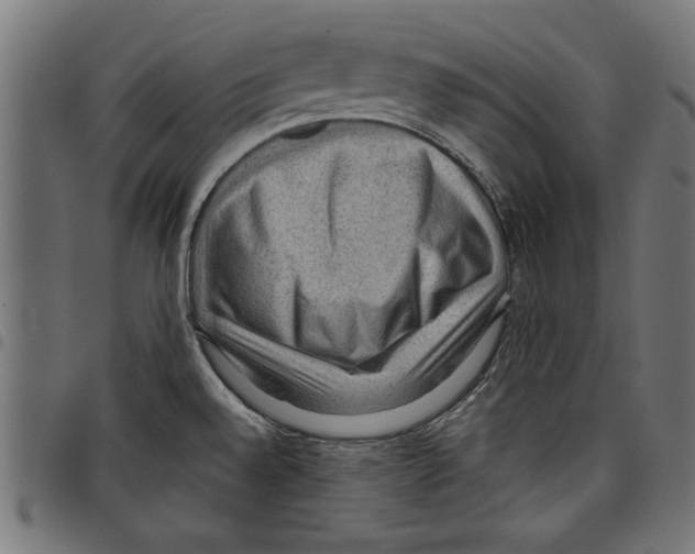 X0000097651528200803280918