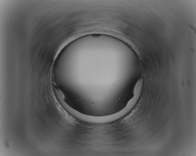 X0000097651530200803280918