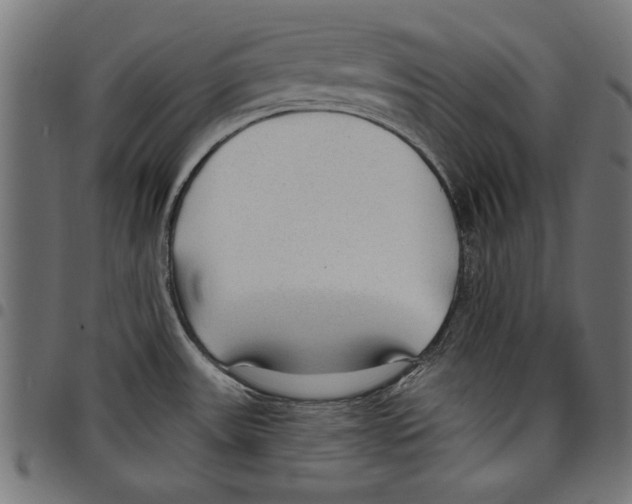 X0000097651531200803280918