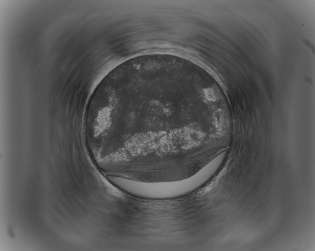 X0000097651533200803280918