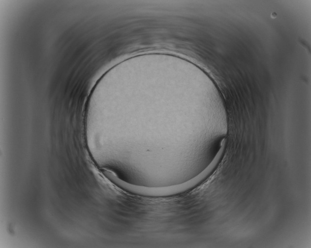 X0000097651534200803280918