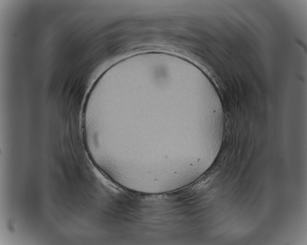 X0000097651535200803280918