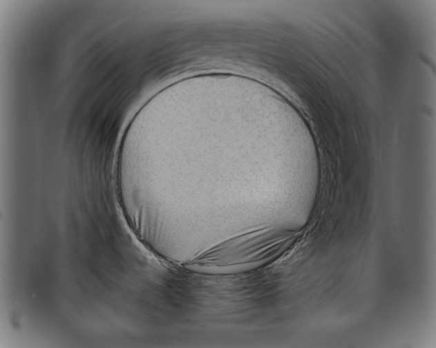 X0000097651536200803280918