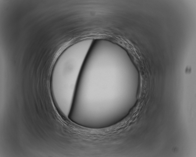 X0000097660003200802290933