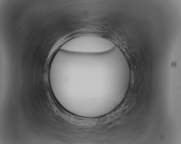 X0000097660004200802290933