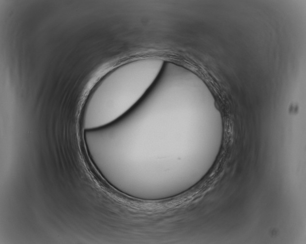 X0000097660006200802290933