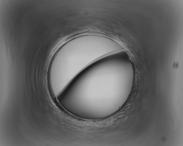 X0000097660007200802290933