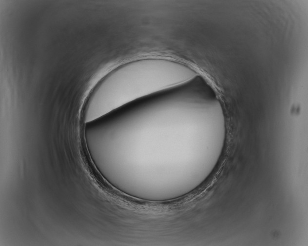 X0000097660008200802290933