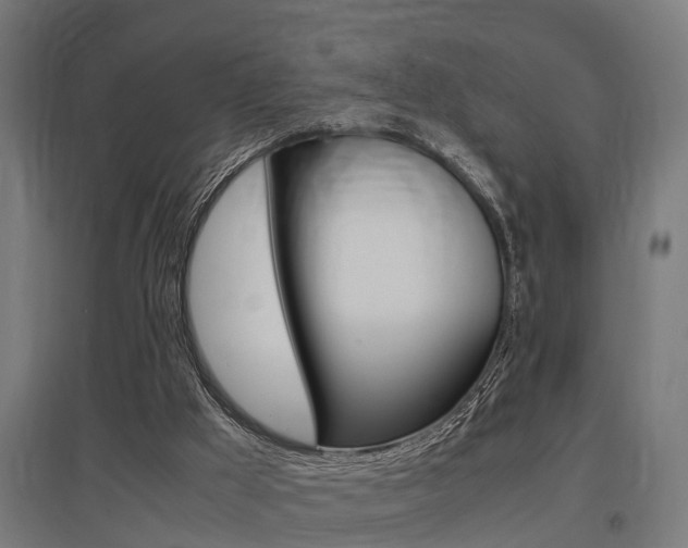 X0000097660009200802290933