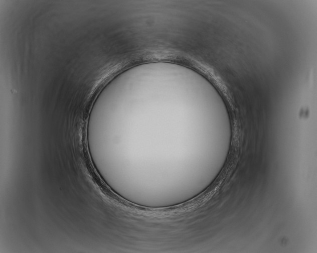 X0000097660010200802290933