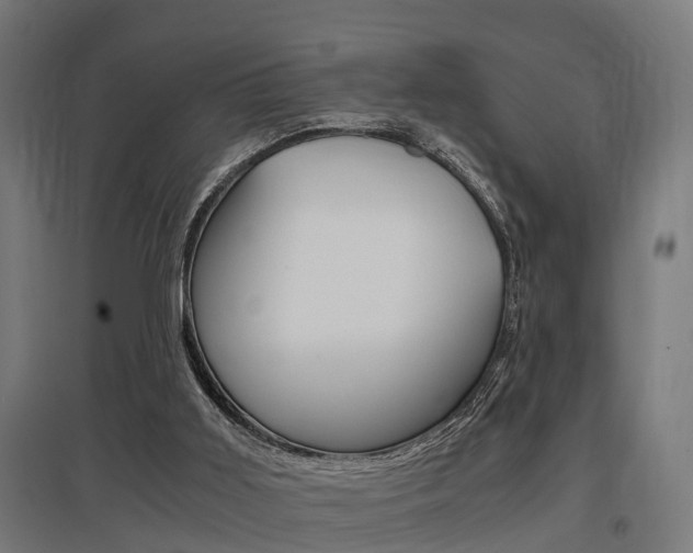 X0000097660011200802290933