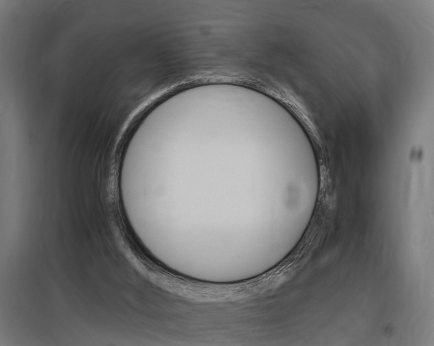 X0000097660012200802290933