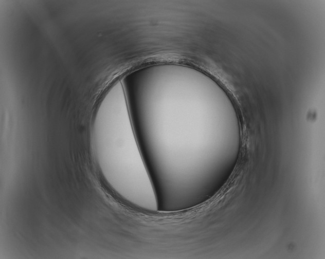 X0000097660013200802290933