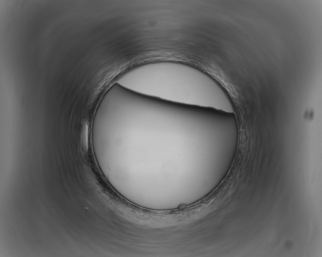 X0000097660014200802290933