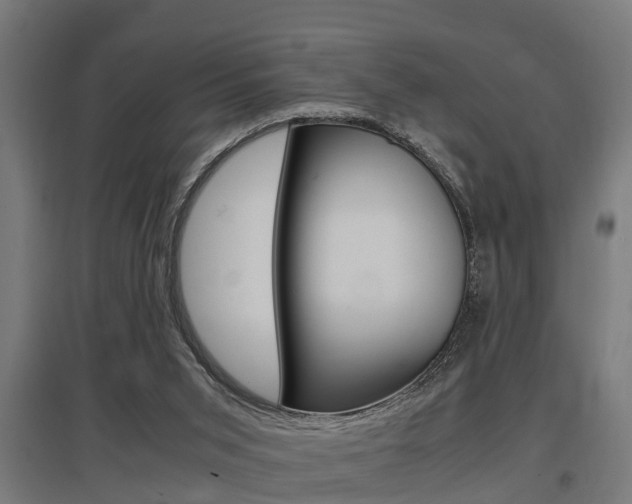 X0000097660015200802290933
