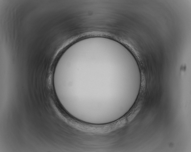 X0000097660016200802290933