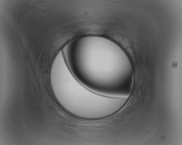X0000097660017200802290933