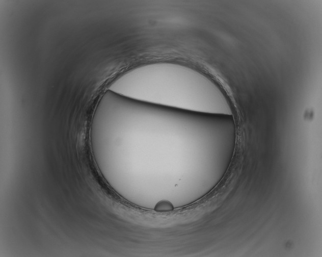 X0000097660018200802290933