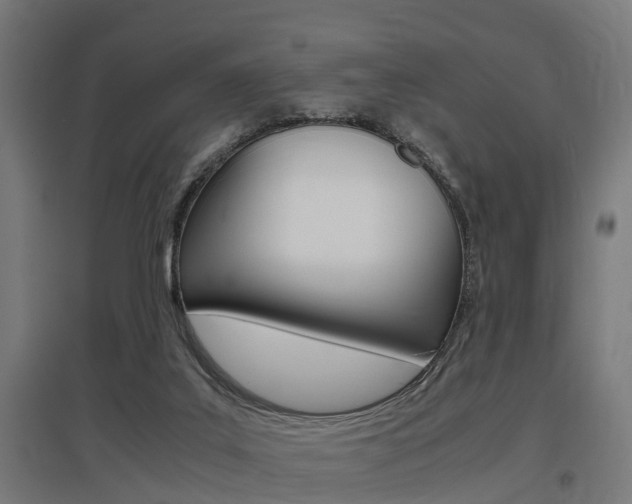 X0000097660019200802290933