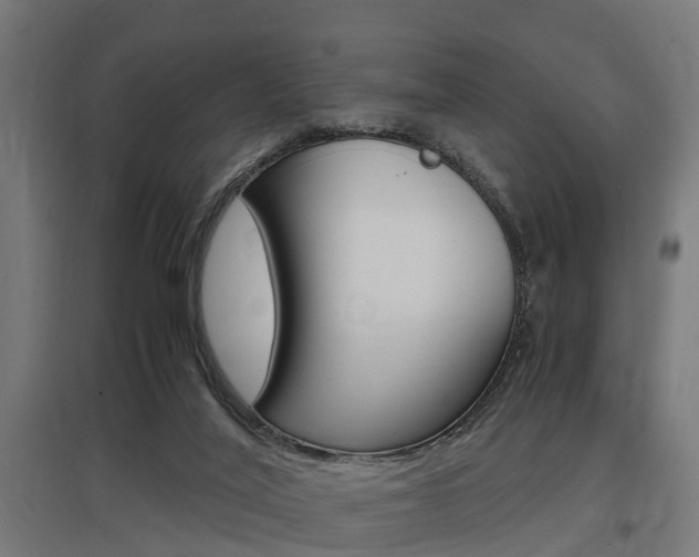 X0000097660020200802290933