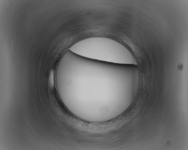 X0000097660022200802290933