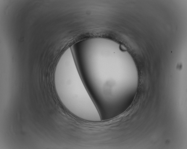 X0000097660025200802290933