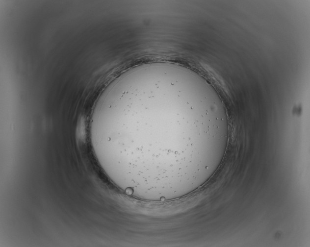 X0000097660026200802290932