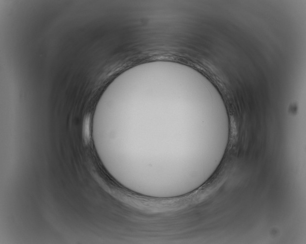 X0000097660028200802290932