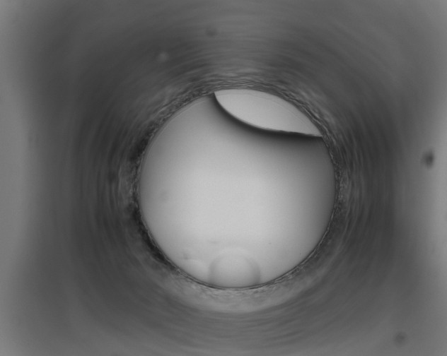 X0000097660030200802290932