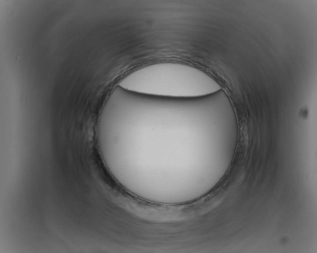 X0000097660032200802290932