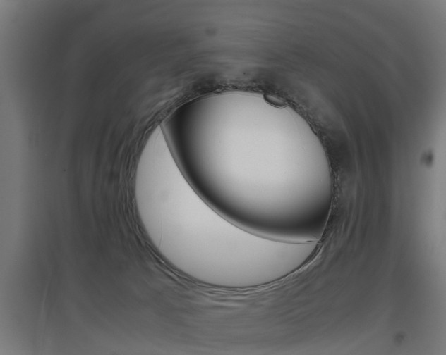 X0000097660033200802290932