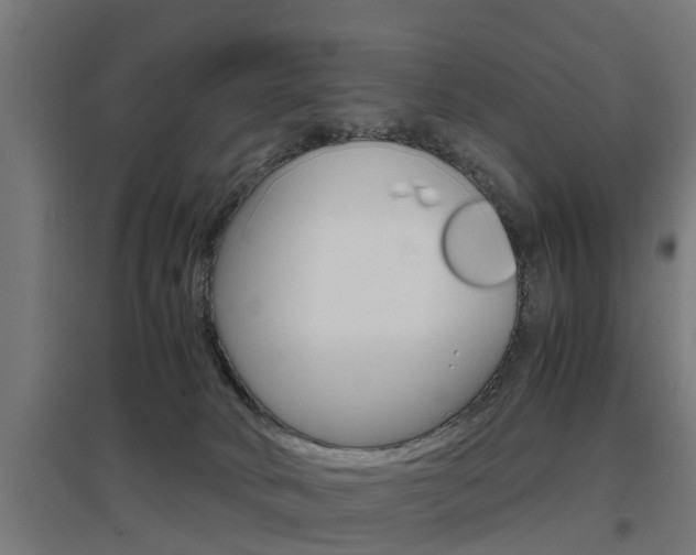 X0000097660034200802290932