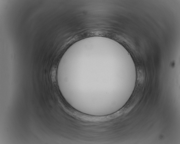 X0000097660036200802290932