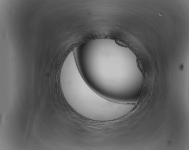 X0000097660037200802290932