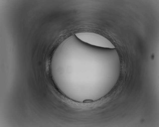 X0000097660038200802290932