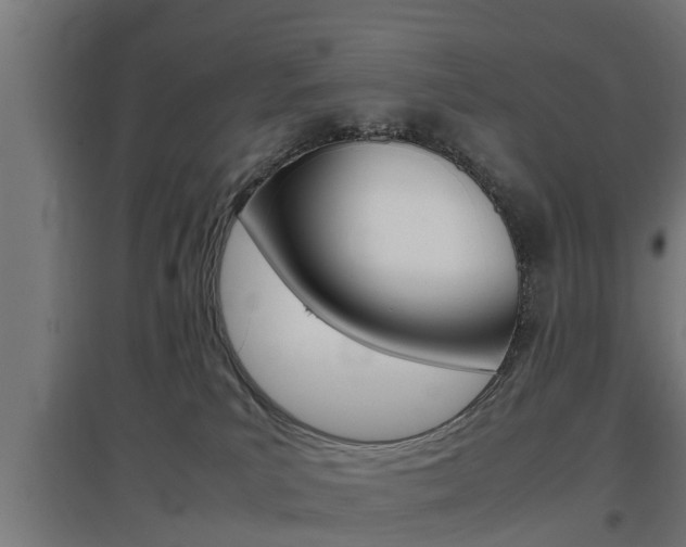 X0000097660039200802290932