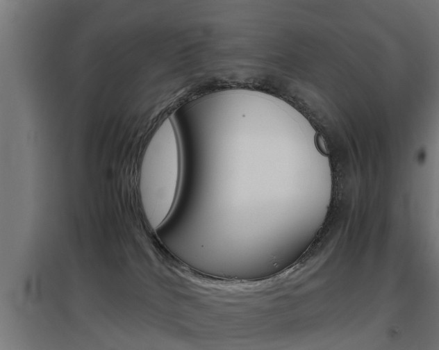 X0000097660040200802290932