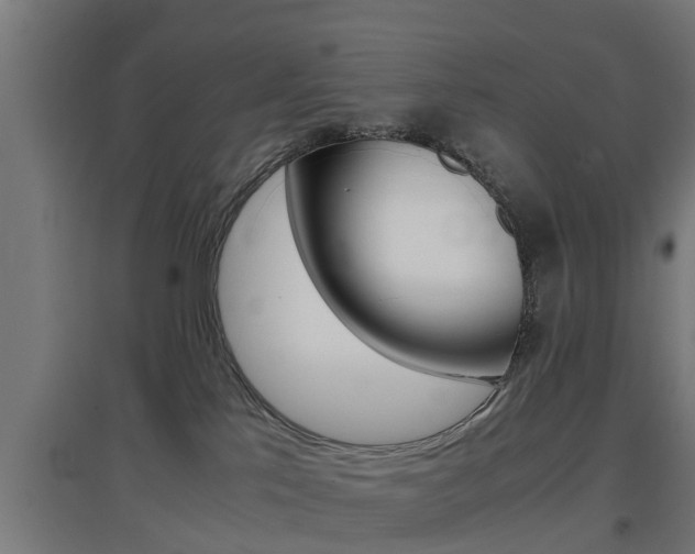X0000097660041200802290932