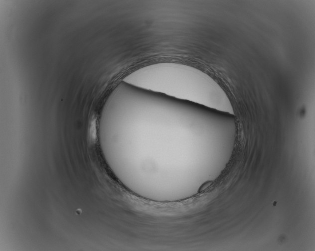 X0000097660042200802290932