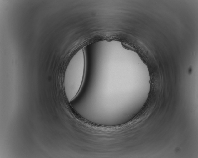 X0000097660044200802290932