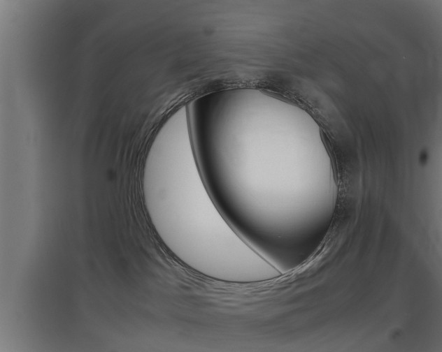X0000097660045200802290932